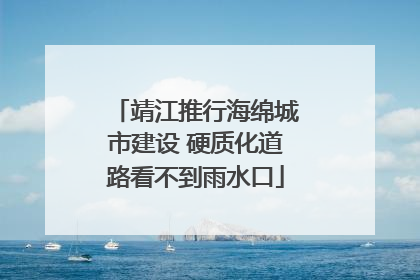 靖江推行海绵城市建设 硬质化道路看不到雨水口