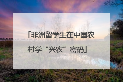 非洲留学生在中国农村学“兴农”密码