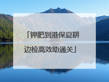 钾肥到港保夏耕 边检高效助通关