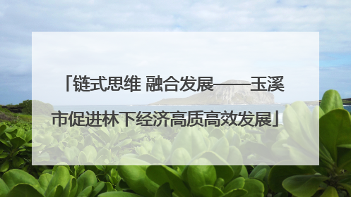 链式思维 融合发展——玉溪市促进林下经济高质高效发展