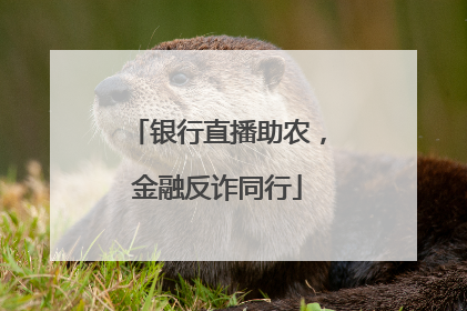 银行直播助农，金融反诈同行