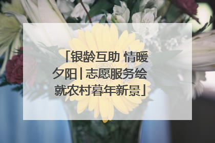 银龄互助 情暖夕阳│志愿服务绘就农村暮年新景