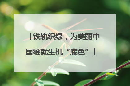 铁轨织绿，为美丽中国绘就生机“底色”