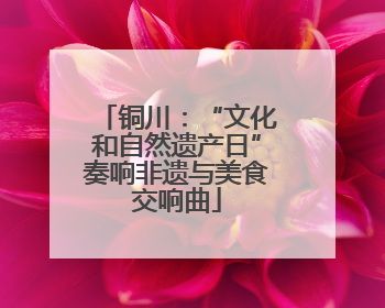 铜川：“文化和自然遗产日”奏响非遗与美食交响曲