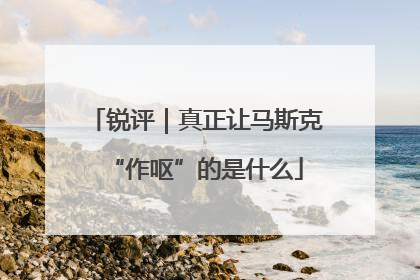 锐评｜真正让马斯克“作呕”的是什么