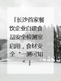 长沙首家餐饮企业自建食品安全检测室启用，食材安全“一测可知”