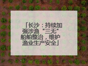 长沙：持续加强涉渔“三无”船舶整治，维护渔业生产安全