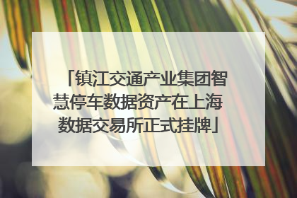 镇江交通产业集团智慧停车数据资产在上海数据交易所正式挂牌
