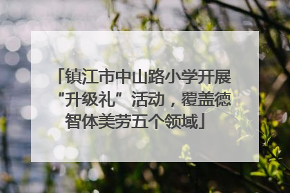 镇江市中山路小学开展“升级礼”活动，覆盖德智体美劳五个领域