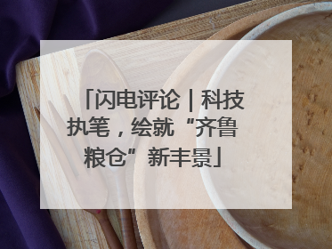闪电评论｜科技执笔，绘就“齐鲁粮仓”新丰景