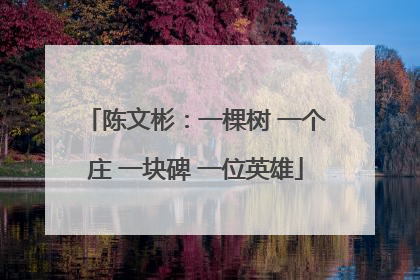 陈文彬：一棵树 一个庄 一块碑 一位英雄