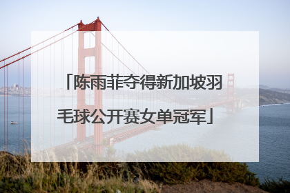 陈雨菲夺得新加坡羽毛球公开赛女单冠军