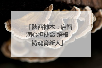 陕西神木：启智润心担使命 培根铸魂育新人