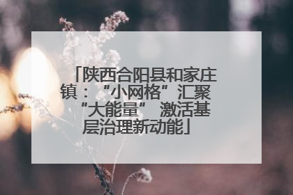 陕西合阳县和家庄镇：“小网格”汇聚“大能量” 激活基层治理新动能