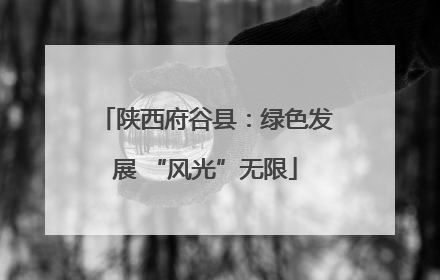 陕西府谷县：绿色发展 “风光”无限