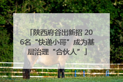 陕西府谷出新招 206名“快递小哥”成为基层治理“合伙人”