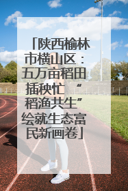 陕西榆林市横山区：五万亩稻田插秧忙 “稻渔共生”绘就生态富民新画卷