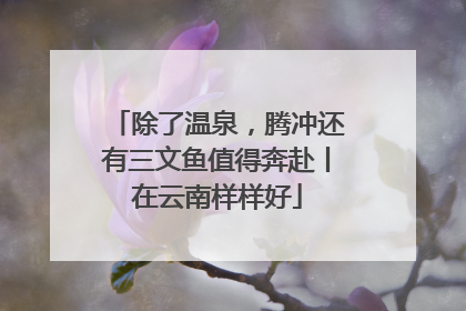除了温泉，腾冲还有三文鱼值得奔赴丨在云南样样好