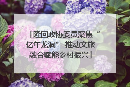 隆回政协委员聚焦“亿年龙洞” 推动文旅融合赋能乡村振兴