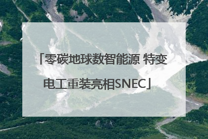 零碳地球数智能源 特变电工重装亮相SNEC