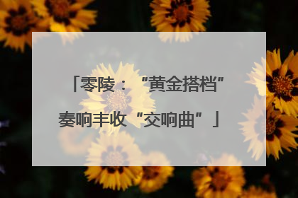 零陵：“黄金搭档”奏响丰收“交响曲”