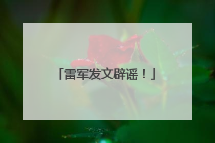 雷军发文辟谣！