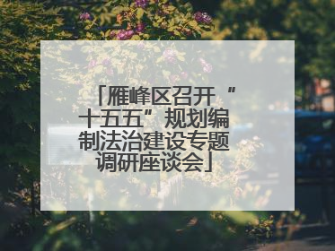 雁峰区召开“十五五”规划编制法治建设专题调研座谈会