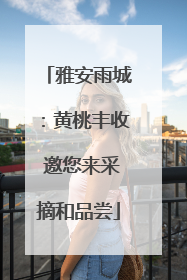 雅安雨城：黄桃丰收 邀您来采摘和品尝