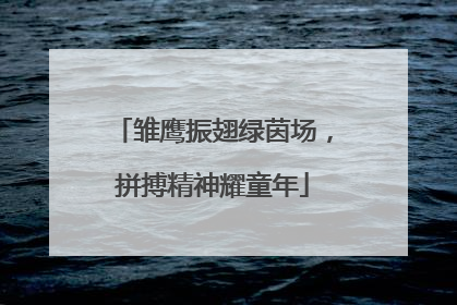 雏鹰振翅绿茵场，拼搏精神耀童年