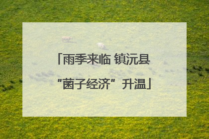 雨季来临 镇沅县“菌子经济”升温