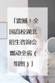 震撼！全国高校湖北招生咨询会燃动全省（组图）