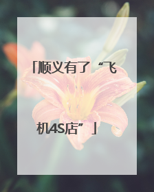 顺义有了“飞机4S店”