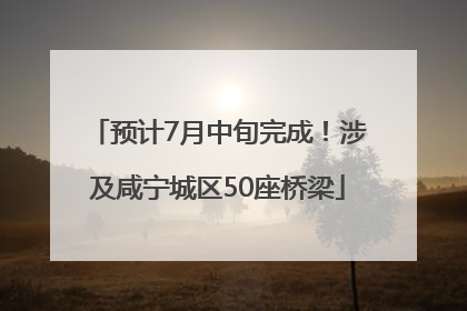 预计7月中旬完成！涉及咸宁城区50座桥梁