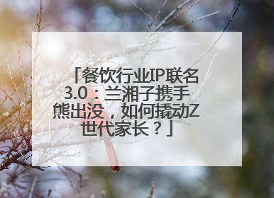 餐饮行业IP联名3.0：兰湘子携手熊出没，如何撬动Z世代家长？