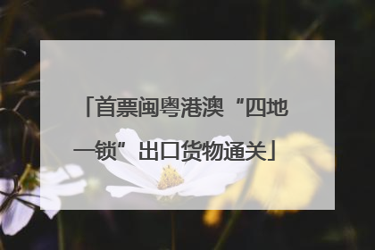 首票闽粤港澳“四地一锁”出口货物通关