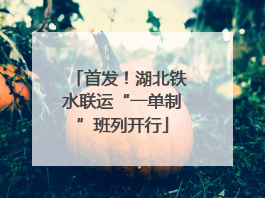 首发！湖北铁水联运“一单制”班列开行