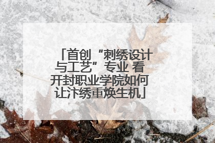 首创“刺绣设计与工艺”专业 看开封职业学院如何让汴绣重焕生机