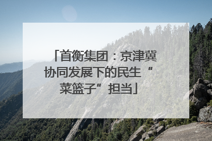 首衡集团：京津冀协同发展下的民生“菜篮子”担当