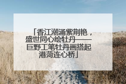 香江潮涌紫荆艳，盛世同心绘牡丹——巨野工笔牡丹画搭起港菏连心桥