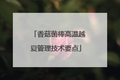 香菇菌棒高温越夏管理技术要点