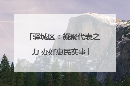 驿城区：凝聚代表之力 办好惠民实事