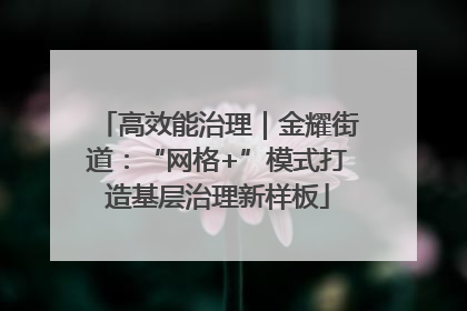 高效能治理｜金耀街道：“网格+”模式打造基层治理新样板