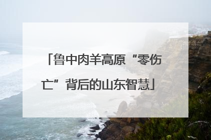 鲁中肉羊高原“零伤亡”背后的山东智慧