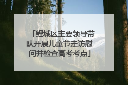 鲤城区主要领导带队开展儿童节走访慰问并检查高考考点