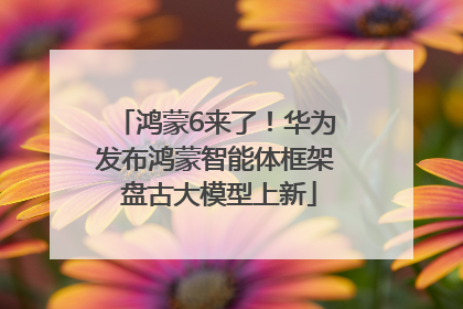 鸿蒙6来了！华为发布鸿蒙智能体框架 盘古大模型上新