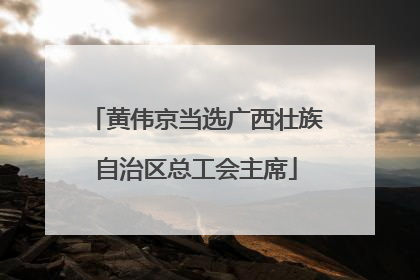 黄伟京当选广西壮族自治区总工会主席