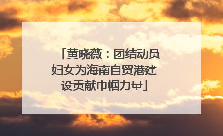 黄晓薇：团结动员妇女为海南自贸港建设贡献巾帼力量