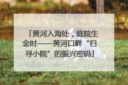 黄河入海处，庭院生金时——黄河口畔“归寻小院”的振兴密码