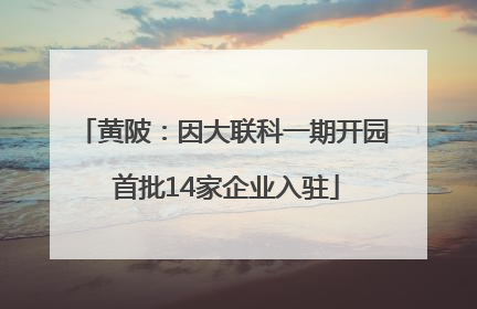 黄陂：因大联科一期开园 首批14家企业入驻