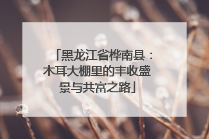 黑龙江省桦南县：木耳大棚里的丰收盛景与共富之路